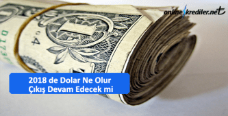 2019 de dolar ne olur cikis devam edecek mi