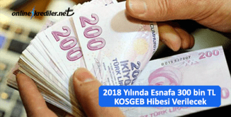 2019 Yılında Esnafa 300 bin TL KOSGEB Hibesi Verilecek