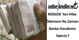 KOSGEB 'ten Hibe Ödemem Ne Zaman Banka Hesabıma Yatırılır?
