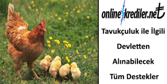 Tavukçuluk ile İlgili Devletten Alınabilecek Tüm Destekler