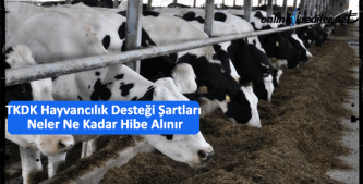 tkdk hayvancilik destegi sartlari neler ne kadar hibe alinir
