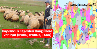 hayvancilik teşviği verilen iller