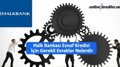 Photo of Halk Bankası Esnaf Kredisi İçin Gerekli Evraklar Nelerdir