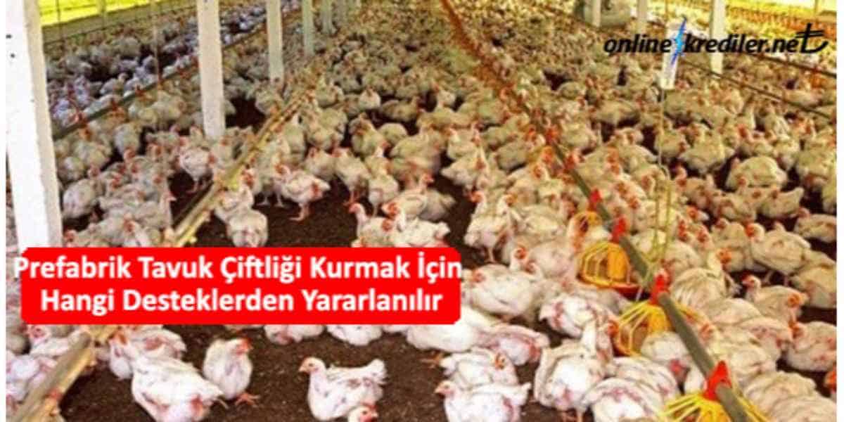 Hibe Destegiyle 50 Bin Kapasiteli Tavuk Ciftligi Kurdu Malatya Haber