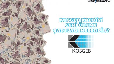 Photo of KOSGEB Kredisi Geri Ödeme Şartları Nelerdir?