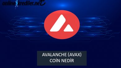 Photo of Avalanche (AVAX) Coin Nedir?