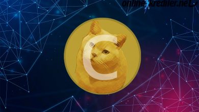 cate coin nedir nasıl alınır?