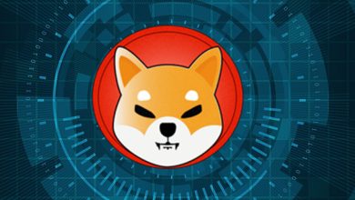 shib coin nasıl alınır